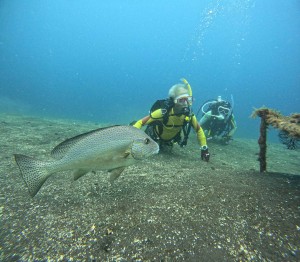 DCIM100GOPROGOPR2291.JPG