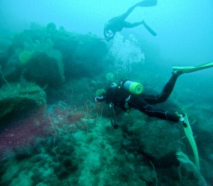 GOPR2297