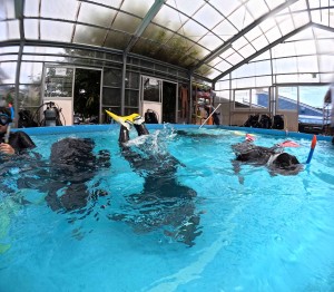 DCIM100GOPROGOPR2313.JPG