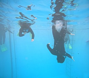 DCIM100GOPROGOPR2314.JPG