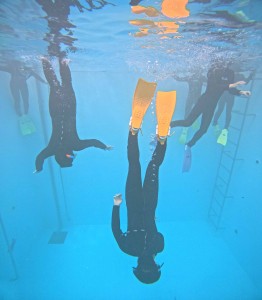 DCIM100GOPROGOPR2315.JPG