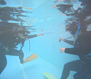 DCIM100GOPROGOPR2328.JPG