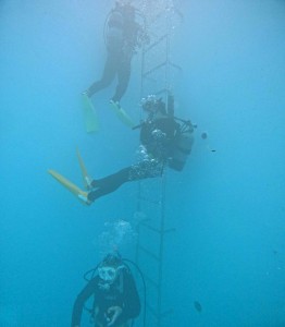 DCIM100GOPROGOPR2355.JPG