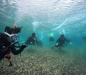 DCIM100GOPROGOPR2431.JPG