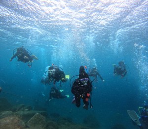 DCIM100GOPROGOPR2439.JPG