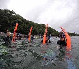 DCIM100GOPROGOPR2444.JPG