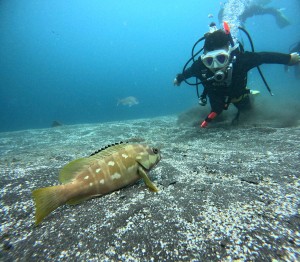 DCIM100GOPROGOPR2456.JPG