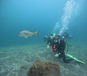 DCIM100GOPROGOPR2460.JPG