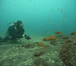 DCIM100GOPROGOPR2487.JPG