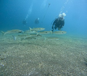DCIM100GOPROGOPR2517.JPG