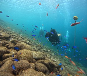 DCIM100GOPROGOPR2551.JPG