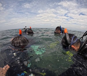 DCIM100GOPROGOPR2617.JPG