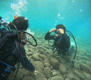 DCIM100GOPROGOPR2640.JPG