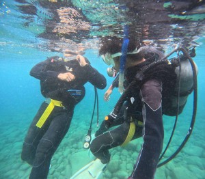 DCIM100GOPROGOPR2647.JPG