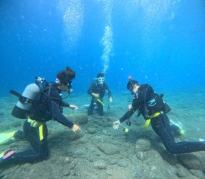 DCIM100GOPROGOPR2722.JPG