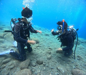 DCIM100GOPROGOPR2750.JPG