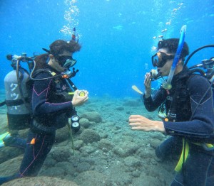 DCIM100GOPROGOPR2752.JPG