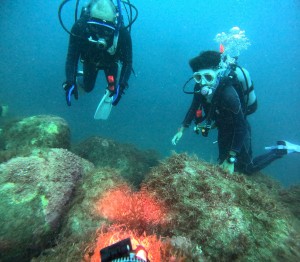 DCIM100GOPROGOPR2819.JPG