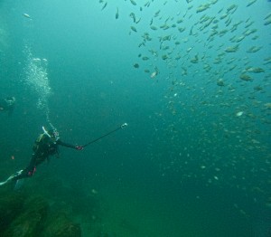 DCIM100GOPROGOPR2830.JPG