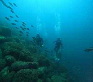 DCIM100GOPROGOPR2832.JPG
