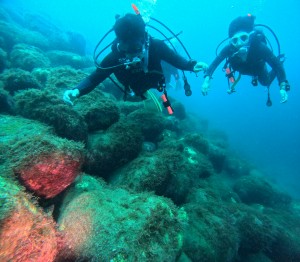 DCIM100GOPROGOPR2839.JPG