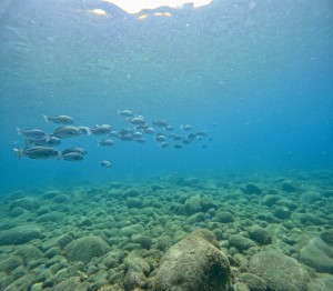 DCIM100GOPROGOPR2896.JPG