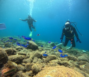 DCIM100GOPROGOPR2909.JPG
