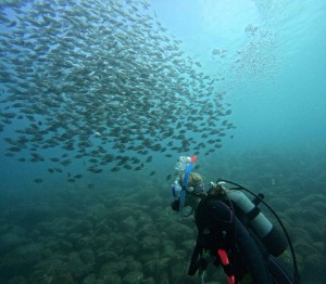DCIM100GOPROGOPR2944.JPG
