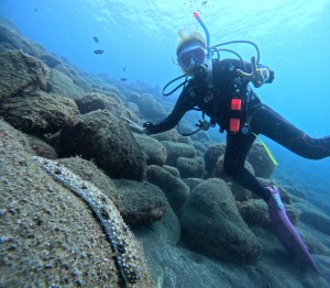 DCIM100GOPROGOPR2945.JPG