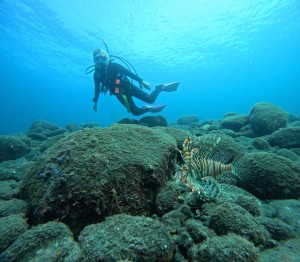 DCIM100GOPROGOPR2950.JPG
