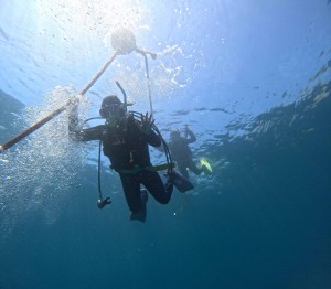 DCIM100GOPROGOPR2959.JPG