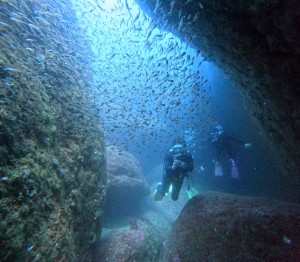 DCIM100GOPROGOPR2963.JPG