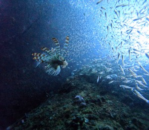 DCIM100GOPROGOPR2995.JPG