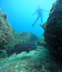 DCIM100GOPROGOPR3005.JPG
