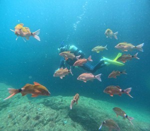 DCIM100GOPROGOPR3013.JPG