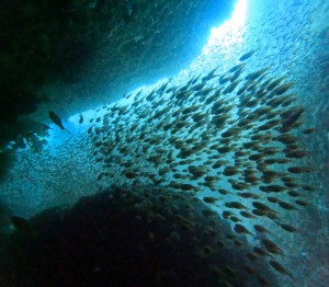 DCIM100GOPROGOPR3032.JPG