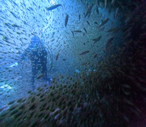 DCIM100GOPROGOPR3038.JPG