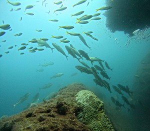 DCIM100GOPROGOPR3050.JPG