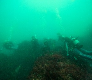 GOPR3117