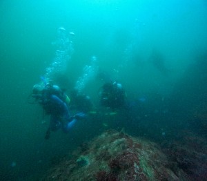 GOPR3139