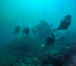 GOPR3145