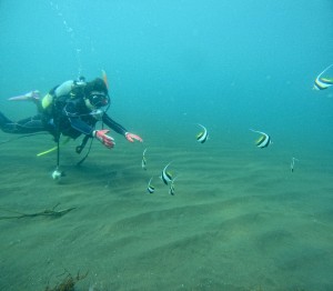 DCIM100GOPROGOPR3314.JPG