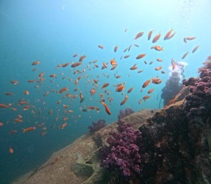 DCIM100GOPROGOPR3337.JPG
