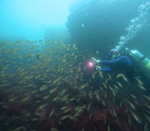 DCIM100GOPROGOPR3341.JPG