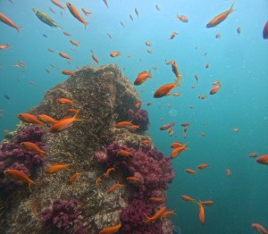 DCIM100GOPROGOPR3352.JPG