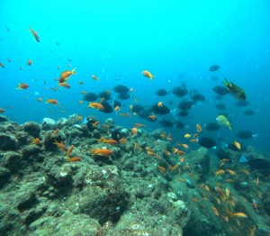 DCIM100GOPROGOPR3363.JPG