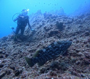 DCIM100GOPROGOPR3367.JPG