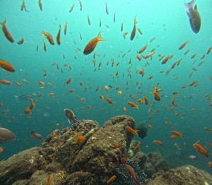 DCIM100GOPROGOPR3369.JPG