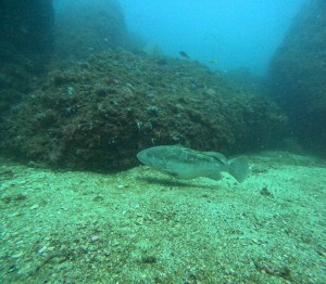 DCIM100GOPROGOPR3376.JPG