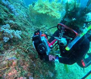 DCIM100GOPROGOPR3393.JPG